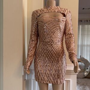 Fashion Nova Rose Gold Sequin Long Sleeve Dress